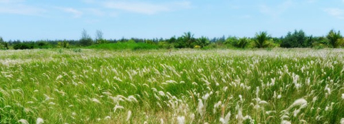 5 địa điểm tuyệt vời cho c&aacute;c "ph&oacute; nh&aacute;y"